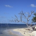 beach_jar_h_0715_cub2879.jpg